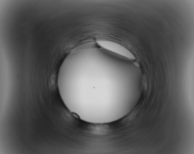 X0000086300670200704201943