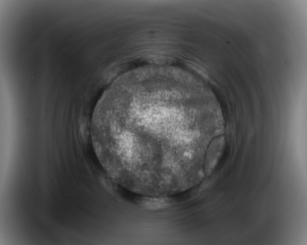 X0000086300671200704201943