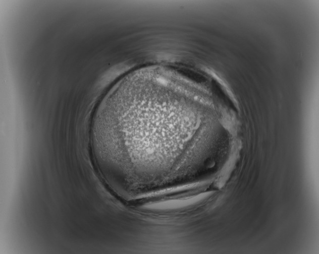 X0000086300673200704201943