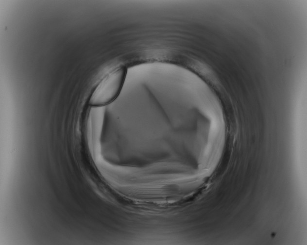 X0000086300674200704201943