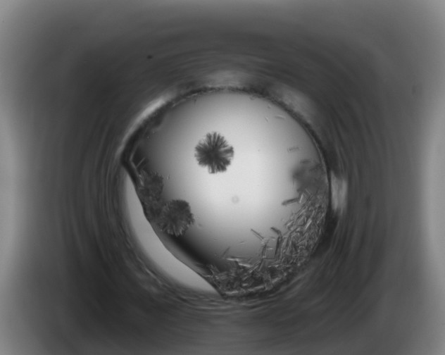 X0000086300675200704201943