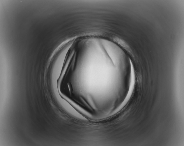 X0000086300676200704201943