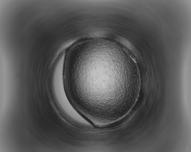 X0000086300677200704201943