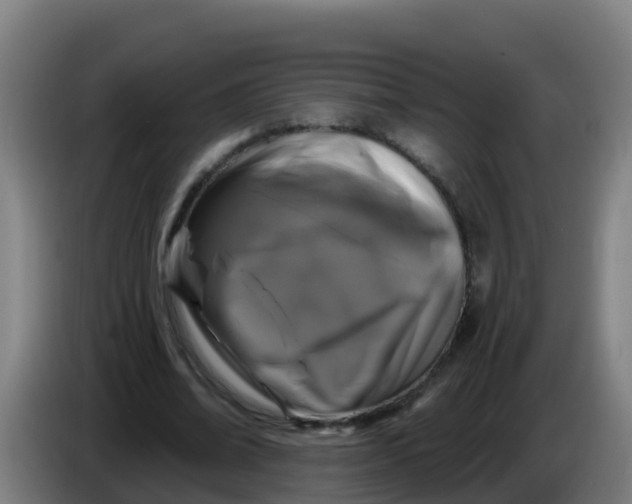 X0000086300678200704201943