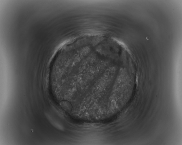 X0000086300679200704201943