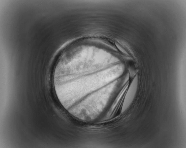 X0000086300680200704201943