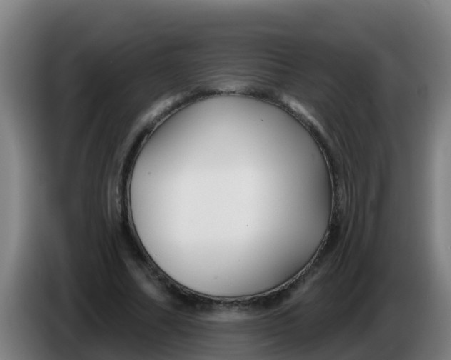 X0000086300682200704201943