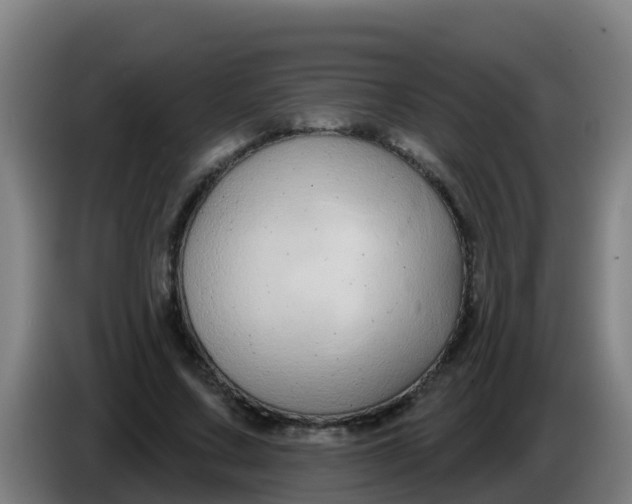 X0000086300683200704201943