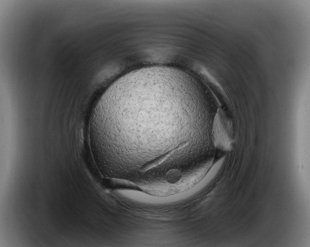 X0000086300685200704201943