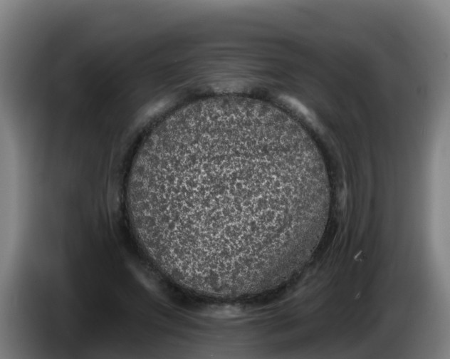 X0000086300687200704201943