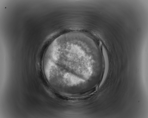 X0000086300688200704201943