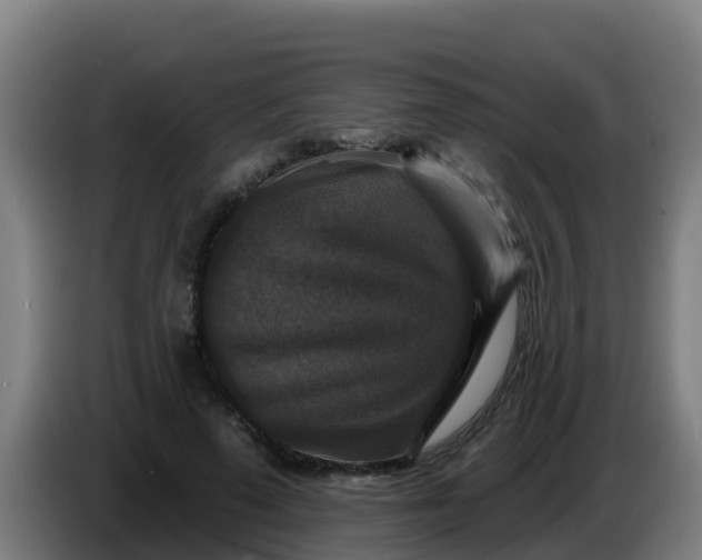 X0000086300689200704201943