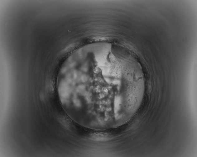 X0000086300691200704201943