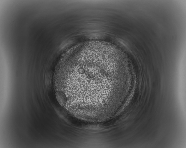 X0000086300695200704201943