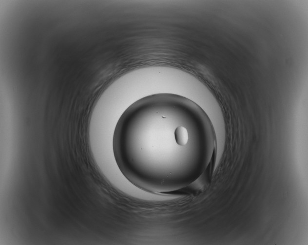 X0000086300696200704201943