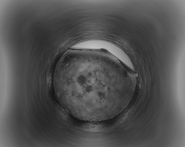 X0000086300697200704201943