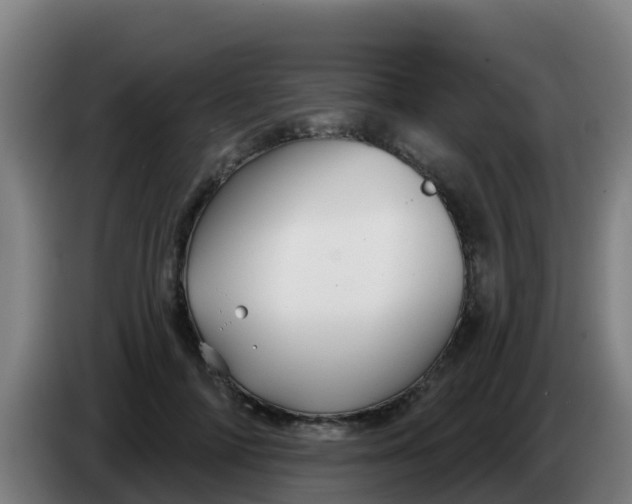 X0000086300698200704201943