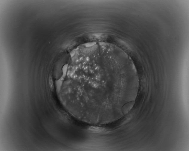 X0000086300699200704201943