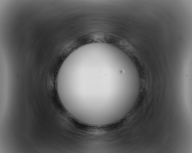 X0000086300702200704201942