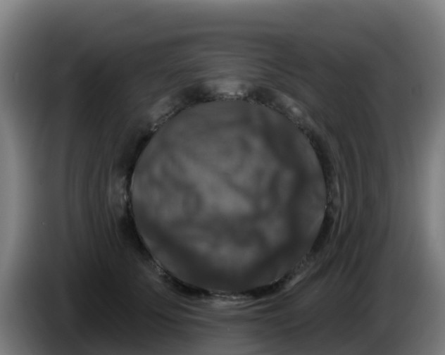 X0000086300707200704201942