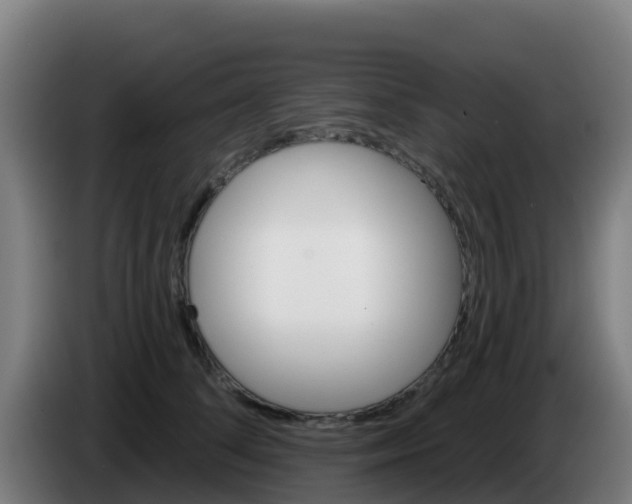 X0000086300708200704201942