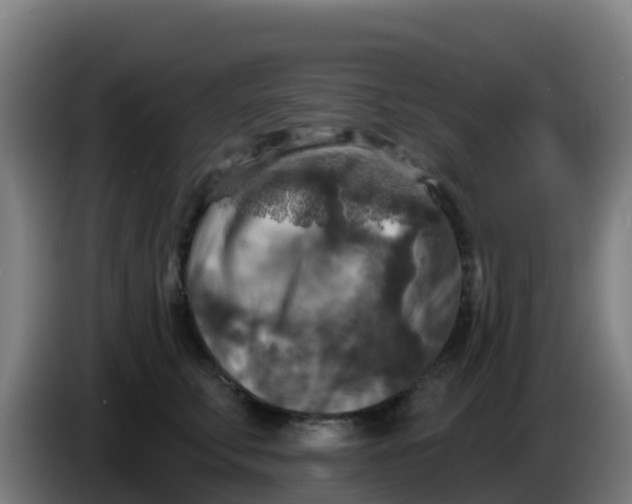 X0000086300711200704201942