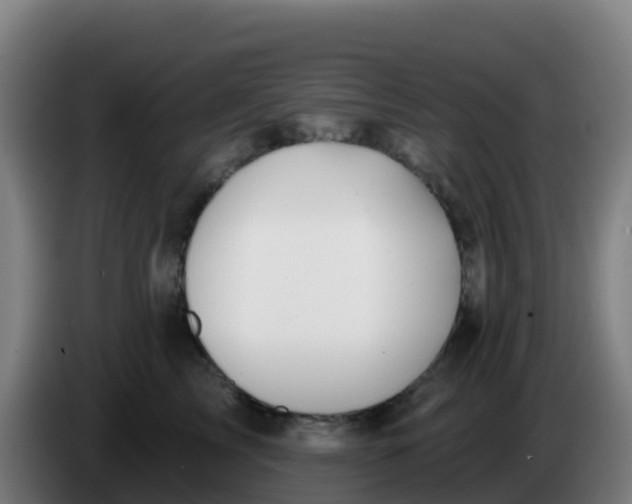 X0000086300713200704201942