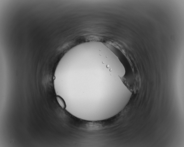 X0000086300714200704201942