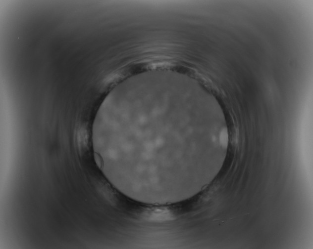 X0000086300715200704201942