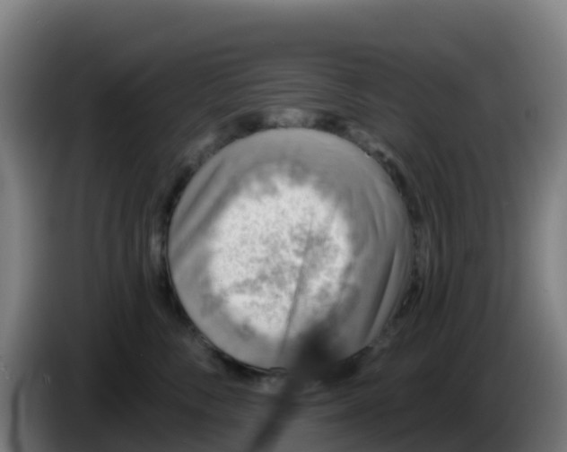 X0000086300716200704201942