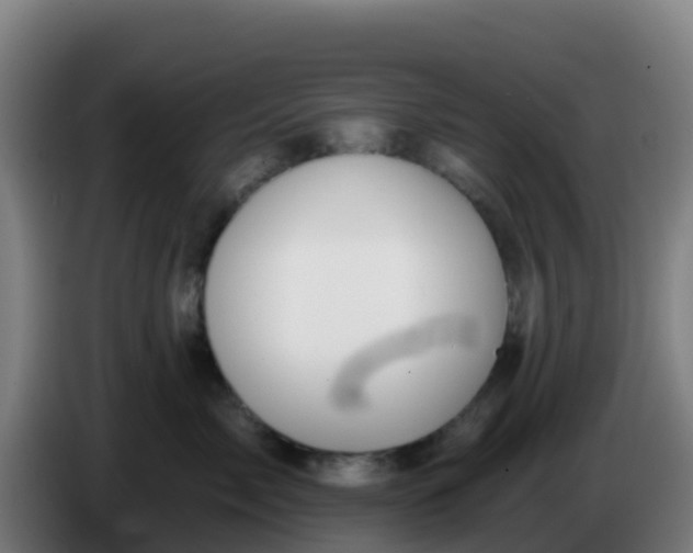 X0000086300717200704201942