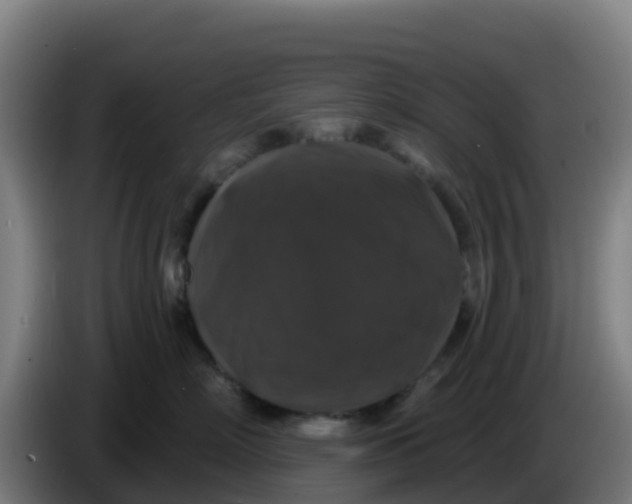 X0000086300718200704201942