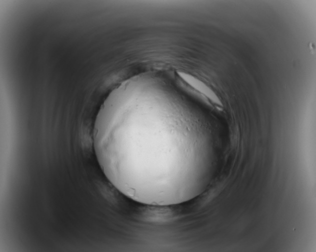 X0000086300719200704201942