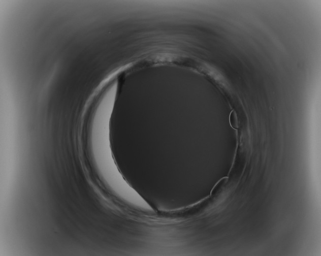 X0000086300722200704201942