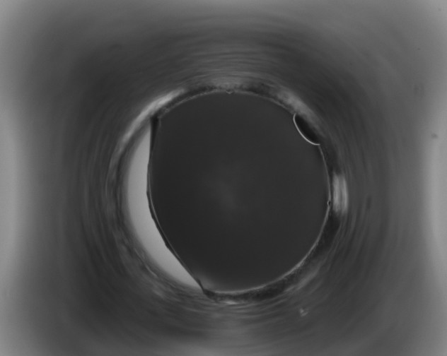 X0000086300723200704201942