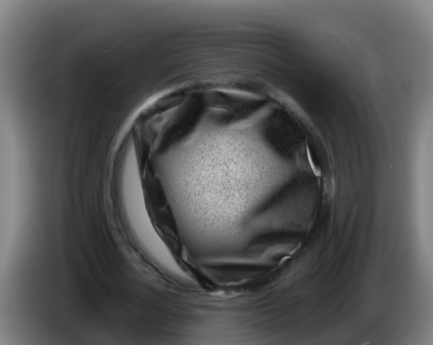 X0000086300724200704201942