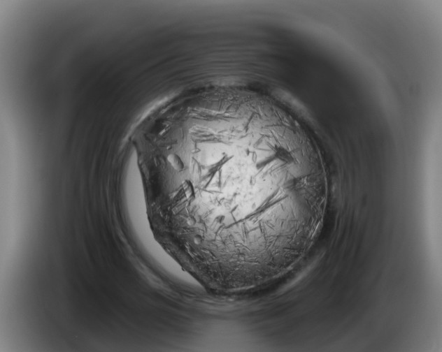 X0000086300725200704201942