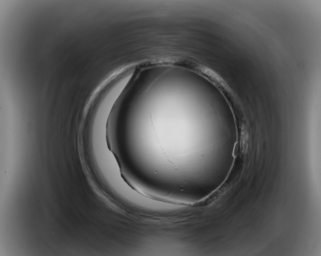 X0000086300726200704201942