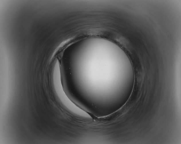 X0000086300727200704201942