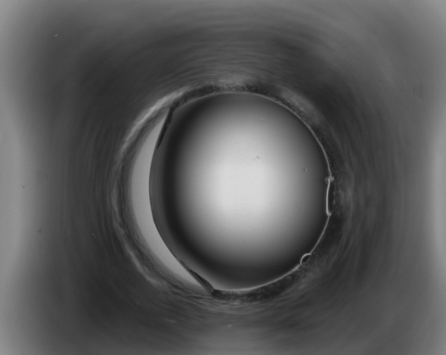 X0000086300728200704201942