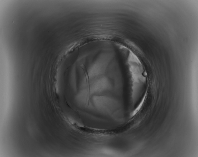 X0000086300729200704201942