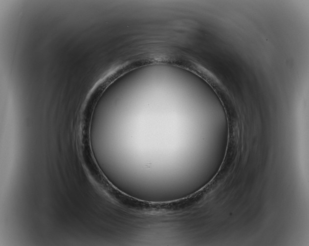 X0000086300730200704201942