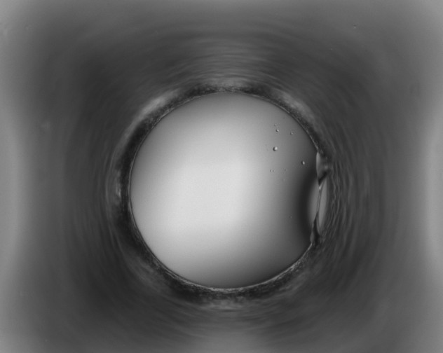 X0000086300731200704201942