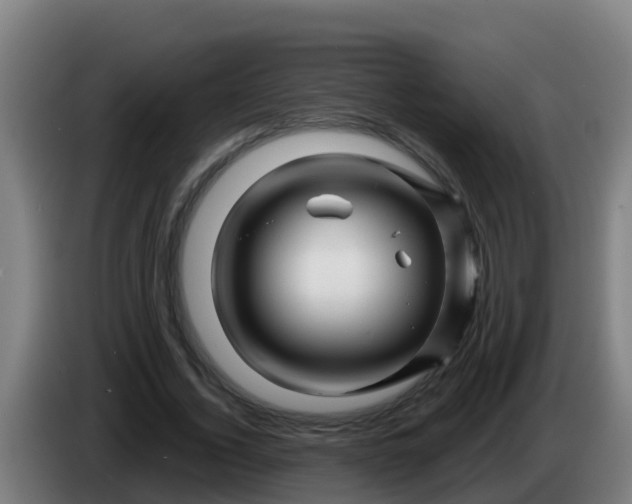 X0000086300732200704201942