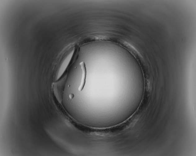 X0000086300733200704201942