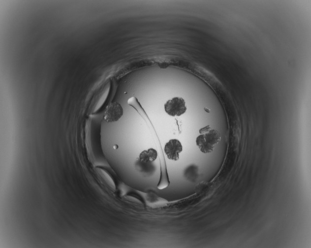 X0000086300734200704201942