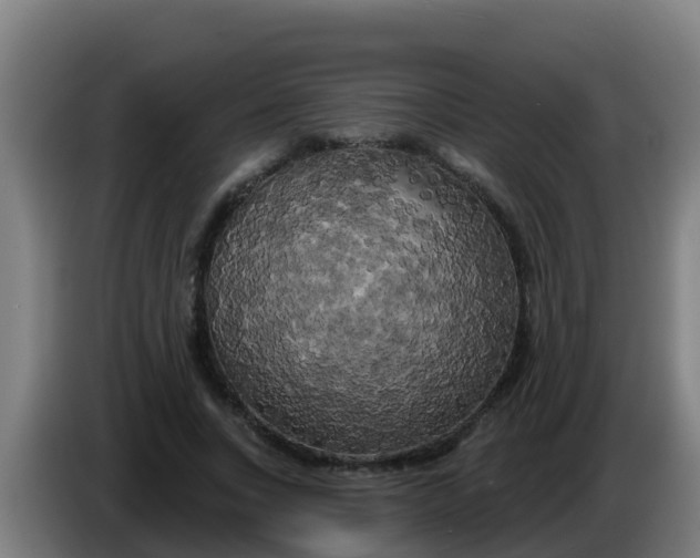 X0000086300735200704201942