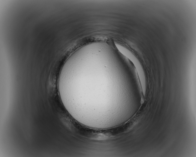 X0000086300737200704201942