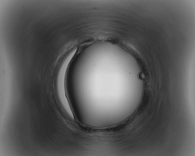 X0000086300738200704201942