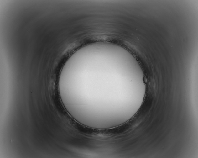 X0000086300739200704201942